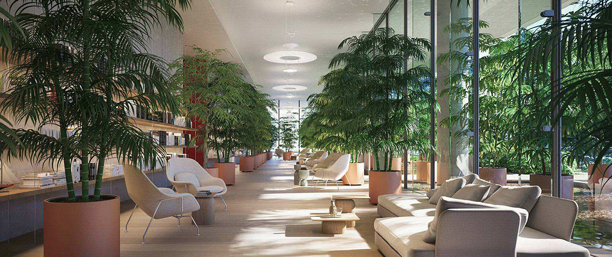 云龙区柔式会所助浴新体验，神秘项目首次揭秘